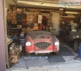 23393 1954 Austin Healey 100-4