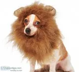 Lion Mane Dog and Cat Costume