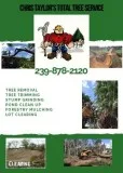 Forestry Mulching Pond Digging Tree Removal