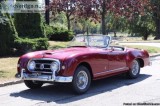 1952 Nash Healey  21372