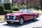 1952 Nash Healey  21372