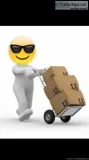 Pick-UpandDelivery TransportingandMovin g of items