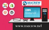 Looking for CMS Development Company in India
