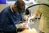 Best family dentists hamilton