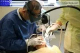 Best family dentists hamilton