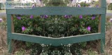 Meet the team of best horticulturist in Melbourne