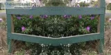 Meet the team of best horticulturist in Melbourne