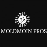 MoldMoin Pros
