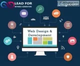 One of Leading and Top Custom Web Development Services in India