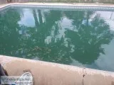Kiefer Pool Services