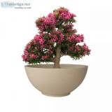 Yuccabe Italia - Offering Plastic Flowerpots Online