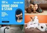Let Your Carpets Slay All The Time With Arlington Carpet Cleanin