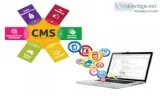 Pick the right Wordpress Development Services India -  GlobalHun