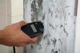 Air Quality Test For Mold  AandA Mold and Allergy Investigations
