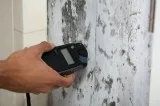 Air Quality Test For Mold  AandA Mold and Allergy Investigations