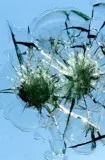Windscreen Replacement Cost in Sydney is Affordable Now Call 02 