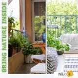 Luxury Interior Designer in Noida
