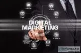 Find Professional Digital Marketing Company in Noida