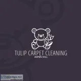 Tulip Carpet Cleaning Aspen Hill  Carpet Cleaning Silver Spring