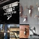 DEER PROCESSING AND EUROPEAN MOUNTING