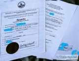 U.S. CORPORATE DOCUMENT EXPRESS APOSTILLE SERVICES (7 Days a Wee