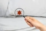 Avail The Bed Bug Heat Treatment in Houston