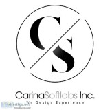 Website Design and Development Company In Indore  Carina Softlab