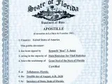 FLORIDA APOSTILLE SERVICES IN NYC FL Birth - Marriage - Divorce 