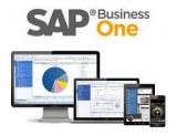 Vestrics - SAP Business Software