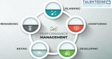 Performance Management Cycle Program