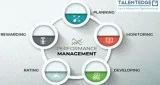 Performance Management Cycle Program