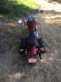 Honda Shadow 2001 VLXDeluxe