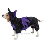 Dog Accessories