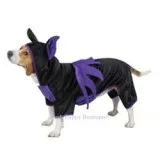 Dog Accessories