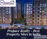 Commercial Real Estate Broker- Propace Realty