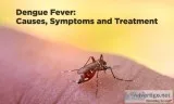 Dengue Fever Causes Symptoms and Treatment