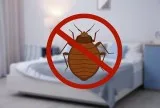 Get A Bed Bug Control Service at The Best Price