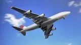 Freight and Logistics Companies in Miami