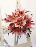 Lilies &ndash buy online or call 01525 237939