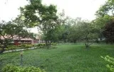 Get information about G. Madegowda Institute of Naturopathy and 