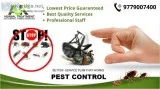 Pest Control Services in Mohali