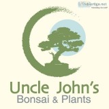 I SELL PLANTS   Lots of plants...