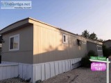 141 Carnation  Will Not Last Long