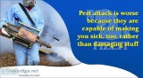Best Pest Control Services in Connaught  Place  and  Greater Noi