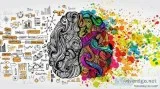 Are you looking for graphic design agency