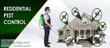 Best Cockroach Pest control company in Bradenton