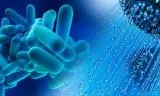 Looking for Legionella Risk Assessment