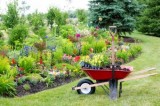 Front Yard Landscaping Tips - Scott s Landscaping
