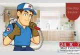 Best Termite control in Lucknow