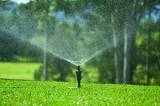 Lawn Fertilising in Sydney